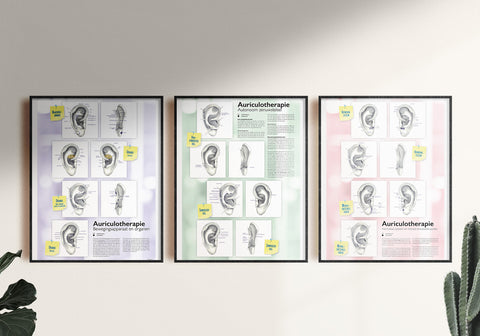 Vier nieuwe uitgaven over auriculotherapie!