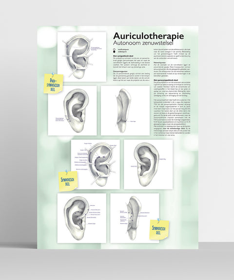 Pakket van 3 posters A2