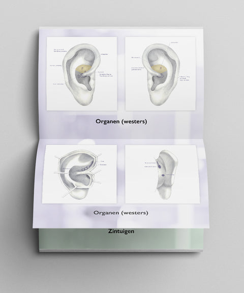 Posterboek Auriculotherapie