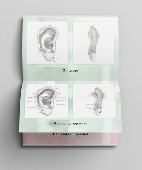 Posterboek Auriculotherapie