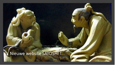 Nieuwe website Sayoshi!