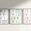 Pakket van 3 posters A2